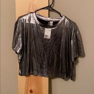 Silver H&M Crop Top